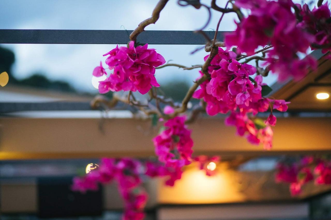 Amaryllis Hotel Návpaktosz Kültér fotó